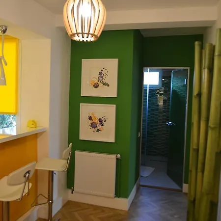 Top View Apartaments Brasov Room photo